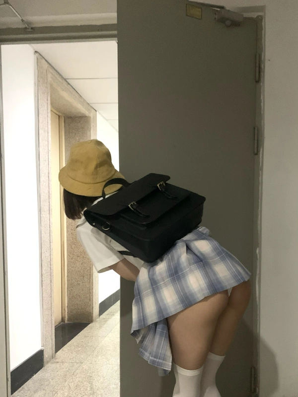 主人的任务1.0 - 西园寺南歌